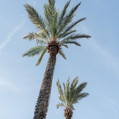 Instagram Image